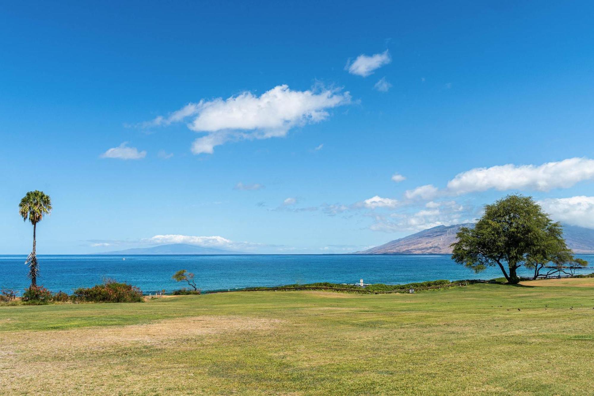 维雷亚Maui Kamaole H-101公寓 外观 照片