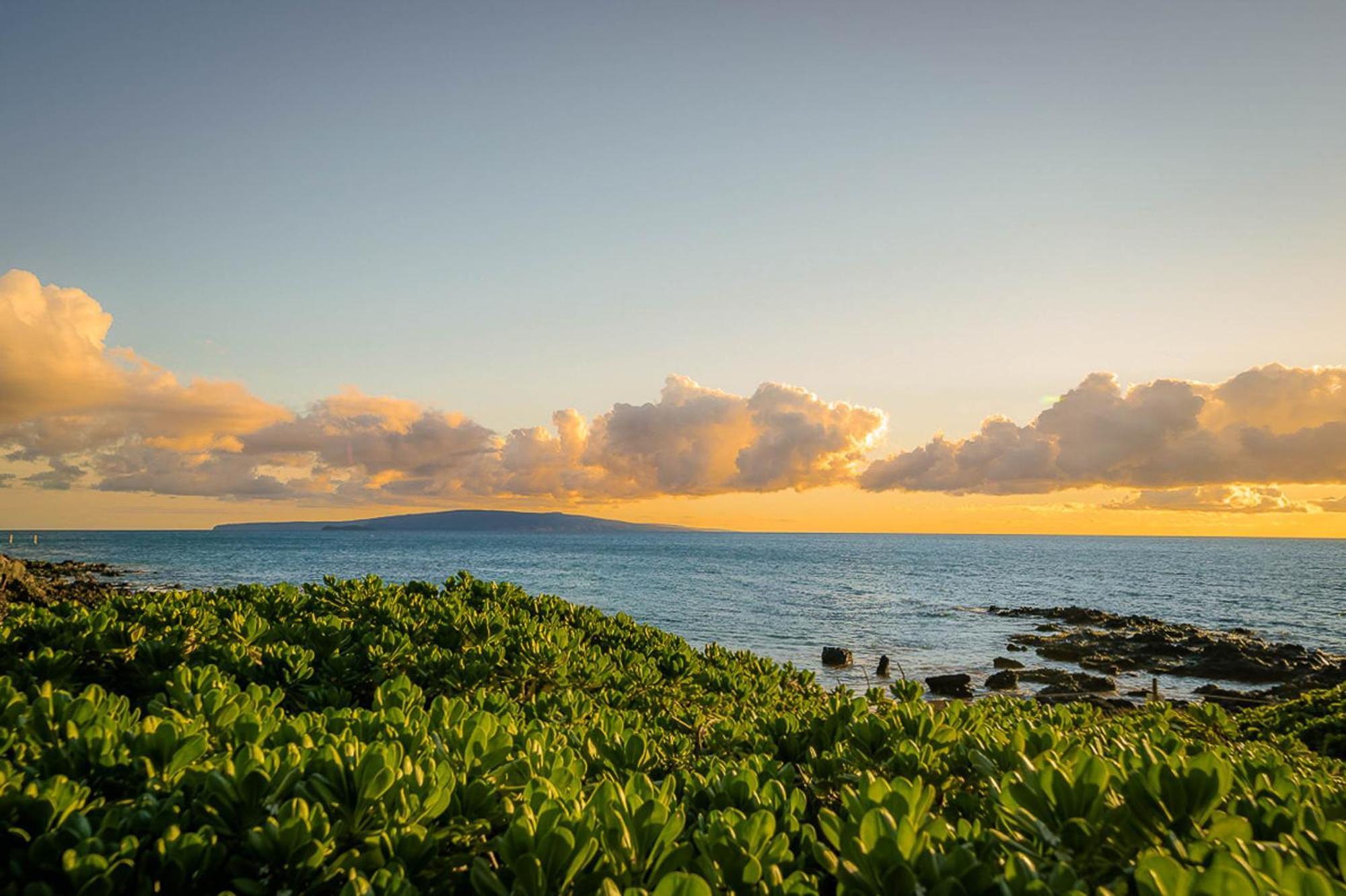 维雷亚Maui Kamaole H-101公寓 外观 照片